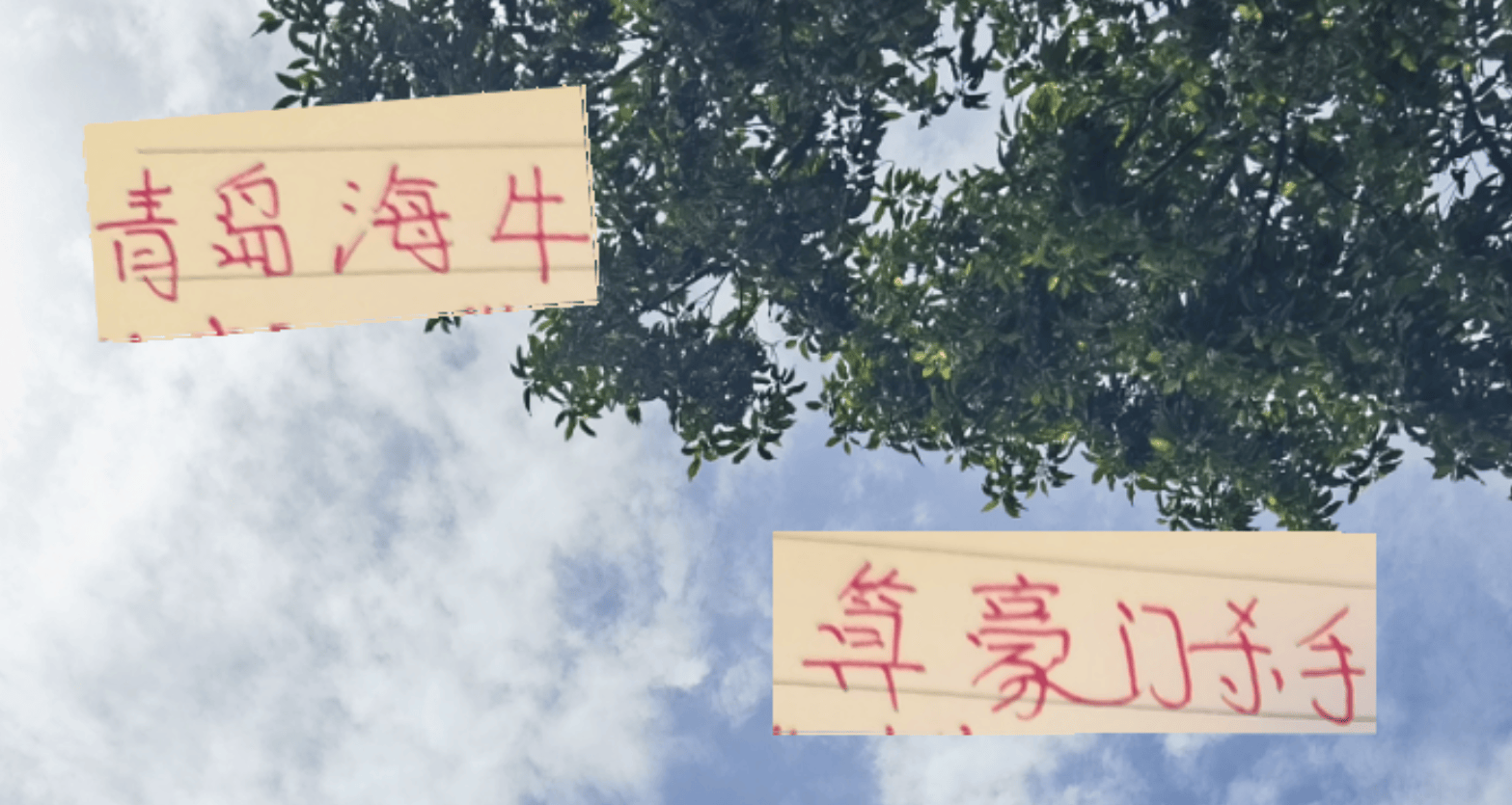 逼平过申花